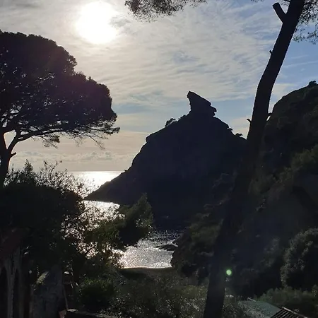 Studio Corniche Apartment